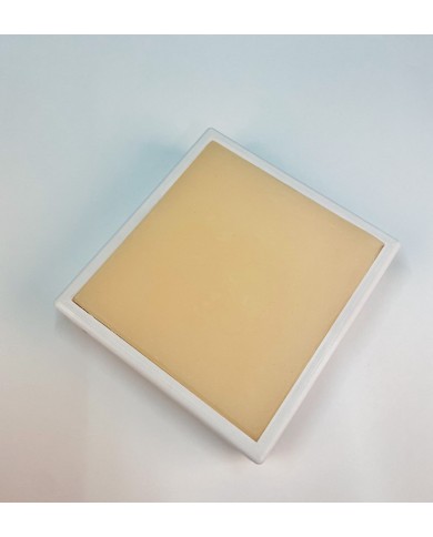 Simulatore per iniezioni intramuscolo in piccoli animali Erler Zimmer VET