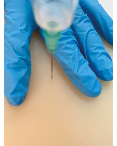 Simulatore per iniezioni intramuscolo in piccoli animali Erler Zimmer VET