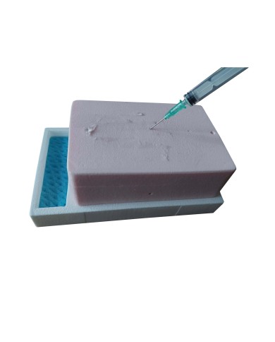 Simulatore per iniezioni sul piano fasciale SonoEZ