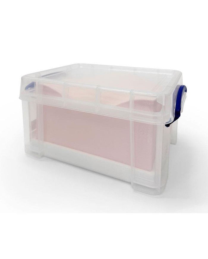 Trainer per ecografica della vescica SonoEZ