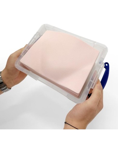 Trainer per ecografica della vescica SonoEZ