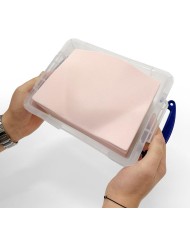 Trainer per ecografica della vescica SonoEZ