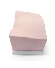 Trainer per ecografica della vescica SonoEZ