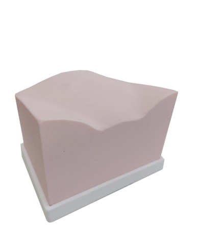 Trainer per ecografica della vescica SonoEZ