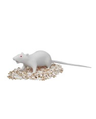 Manichino di topo Natsume EZ VET4230