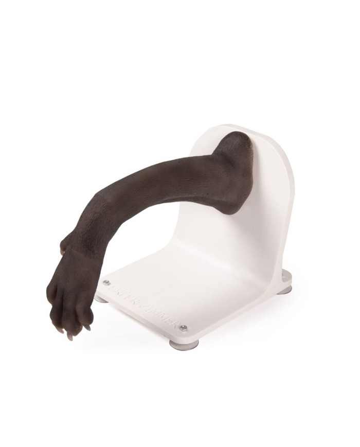 Zampa di cane per l addestramento alle tecniche di bendaggio VET4590