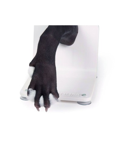 Zampa di cane per l addestramento alle tecniche di bendaggio VET4590