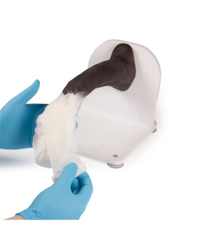 Zampa di cane per l addestramento alle tecniche di bendaggio VET4590