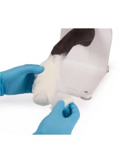 Zampa di cane per l addestramento alle tecniche di bendaggio VET4590