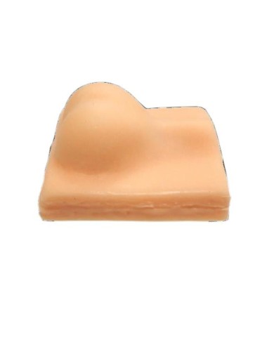 Simulatore per addestramento alla castrazione del cane Erler Zimmer VET4530