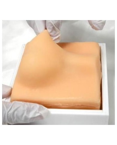 Simulatore per addestramento alla castrazione del cane Erler Zimmer VET4530