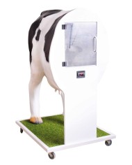 Simulatore avanzato per l inseminazione artificiale della mucca VET3400
