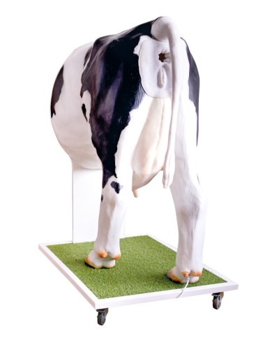 Simulatore avanzato per l inseminazione artificiale della mucca VET3400