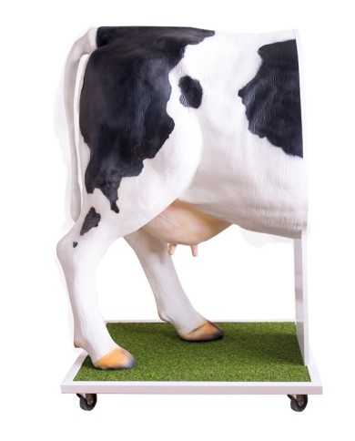 Simulatore avanzato per l inseminazione artificiale della mucca VET3400