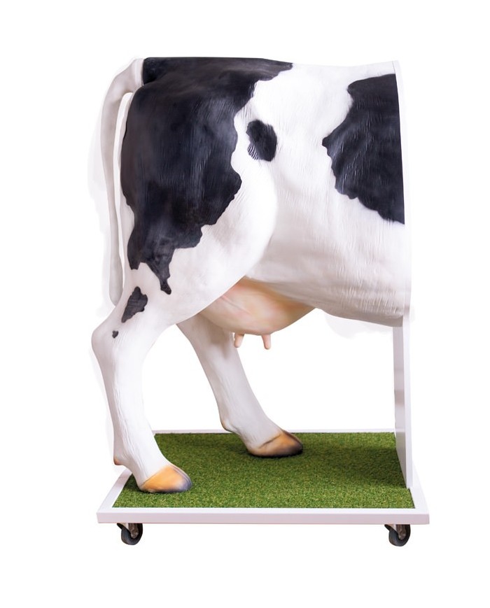 Simulatore avanzato per l inseminazione artificiale della mucca VET3400