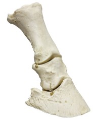 Piede di Cavallo mobile Erler Zimmer VET4360