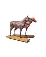 Modello di cavallo cavalla in 16 parti 1 3 a grandezza naturale VET3330