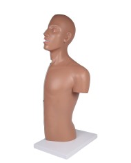 Torso per esercitazioni di sondino nasogastrico e tracheotomia Erler Zimmer