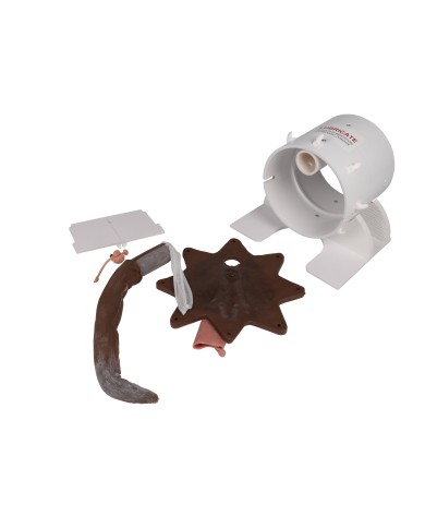 Simulatore per esame rettale del cane Erler Zimmer VET4650