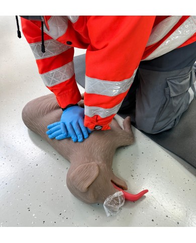 Simulatore di cane per addestramento CPR CooPeR Erler Zimmer 4660