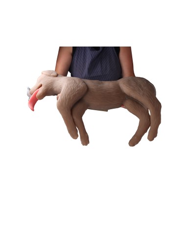 Simulatore di cane per addestramento CPR CooPeR Erler Zimmer 4660