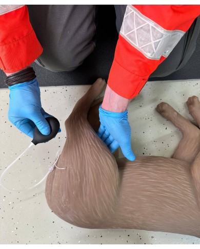 Simulatore di cane per addestramento CPR CooPeR Erler Zimmer 4660
