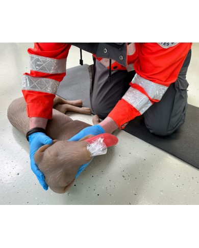 Simulatore di cane per addestramento CPR CooPeR Erler Zimmer 4660