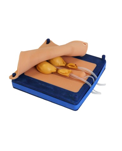 Simulatore per la castrazione del cane Erler Zimmer SRE0630