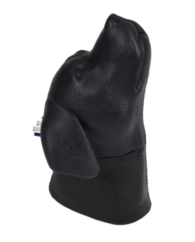 Simulatore di testa di cane per iniezione venosa cervicale Erler Zimmer VET