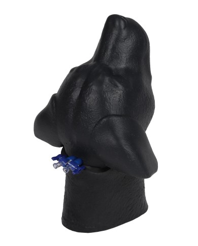 Simulatore di testa di cane per iniezione venosa cervicale Erler Zimmer VET