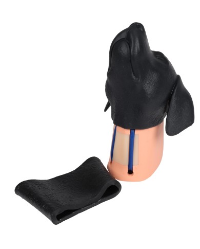 Simulatore di testa di cane per iniezione venosa cervicale Erler Zimmer VET