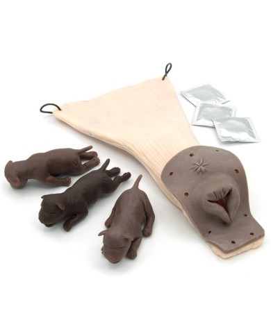 Simulatore di Cane per addestramento ginecologico Erler Zimmer VET5000