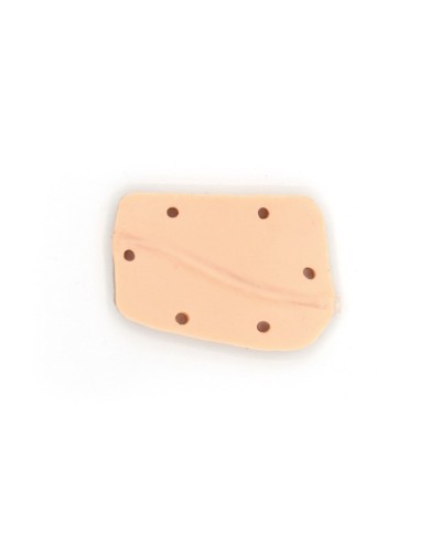 Simulatore di Cane per addestramento ginecologico Erler Zimmer VET5000