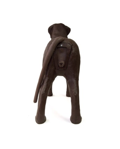 Simulatore di Cane per addestramento ginecologico Erler Zimmer VET5000