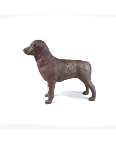 Simulatore di Cane per addestramento ginecologico Erler Zimmer VET5000