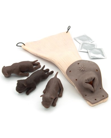 Modulo nascita per Simulatore di Cane per addestramento ginecologico Erler 