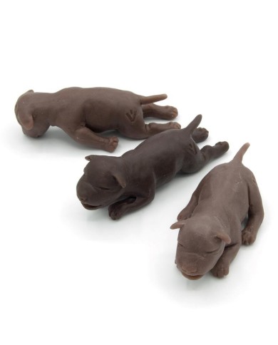 Set di tre cuccioli per Simulatore di Cane per addestramento ginecologico E