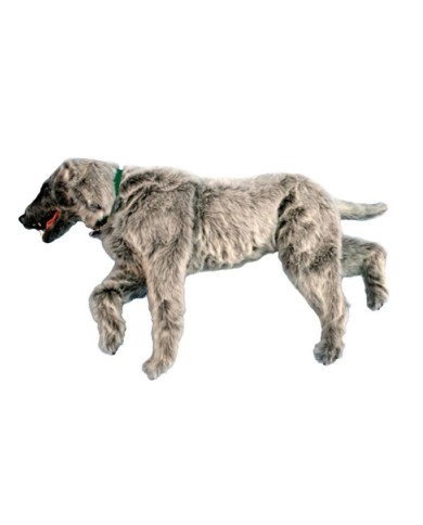 Manichino di cane per la simulazione di posizionamento Emily K9 Erler Zimme