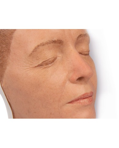 Simulatore per iniezioni facciali Modello A Erler Zimmer 8100