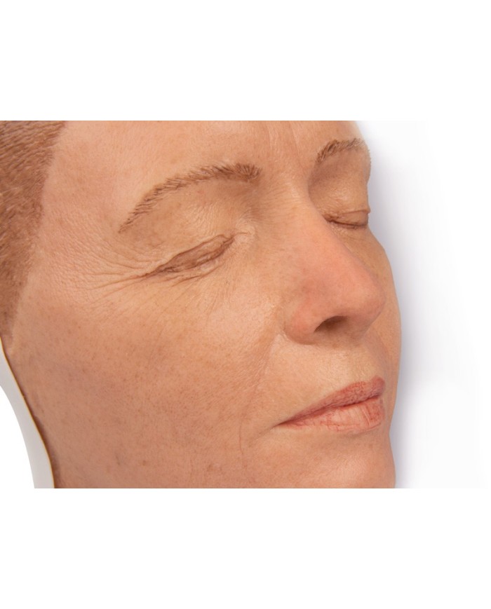 Simulatore per iniezioni facciali Modello A Erler Zimmer 8100