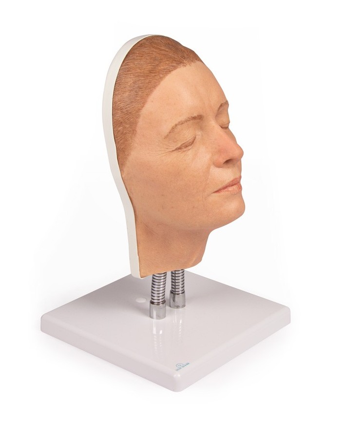 Simulatore per iniezioni facciali Modello A Erler Zimmer 8100