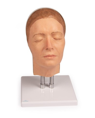 Simulatore per iniezioni facciali Modello A Erler Zimmer 8100