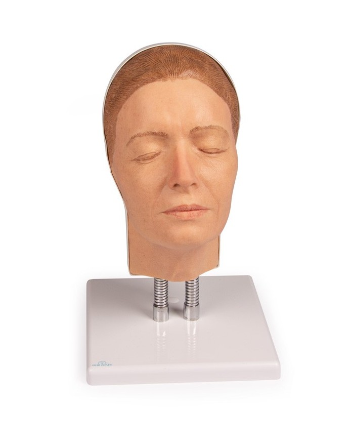 Simulatore per iniezioni facciali Modello A Erler Zimmer 8100