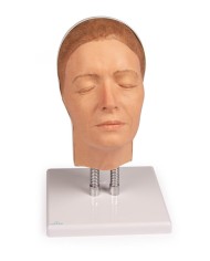 Simulatore per iniezioni facciali Modello A Erler Zimmer 8100