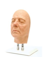 Simulatore per iniezioni facciali Modello B Erler Zimmer 8110