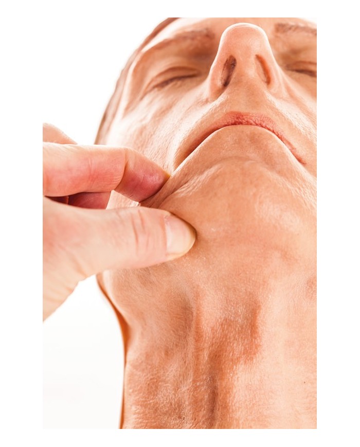 Simulatore per iniezioni facciali Modello D Erler Zimmer 8130