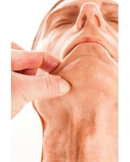 Simulatore per iniezioni facciali Modello D Erler Zimmer 8130