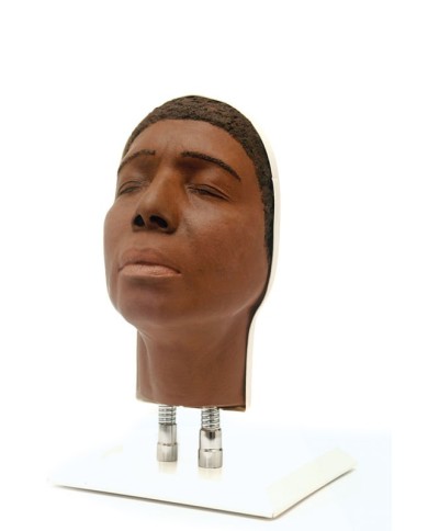 Simulatore per iniezioni facciali Modello C Erler Zimmer 8120