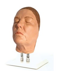 Simulatore per iniezioni facciali Modello G Erler Zimmer 8160