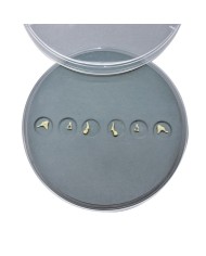 Set di ossicini dell orecchio Erler Zimmer E300